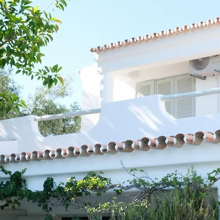 Buganvilla